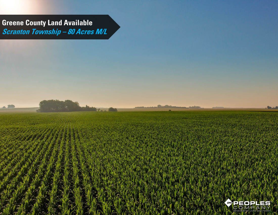Listing Photo: Greene-County-Land-Available-Scranton-Iowa-80-Acres-19663 (12)